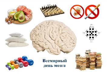 Как позаботиться о здоровье головного мозга?